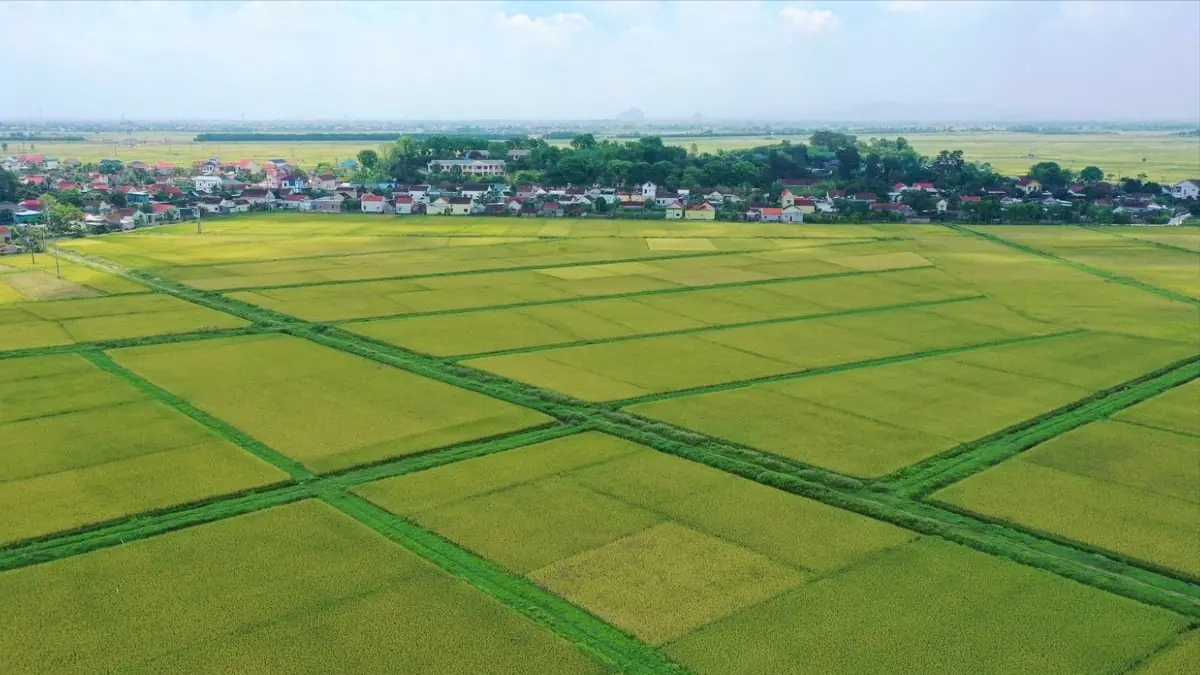 Miễn thuế sử dụng đất nông nghiệp thêm 5 năm